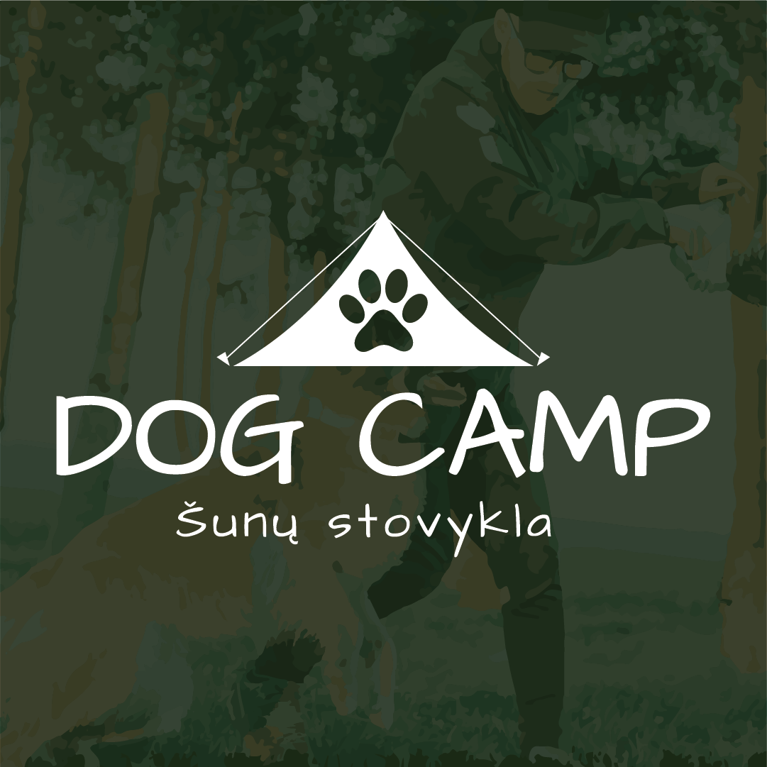 DogCamp